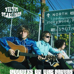 Colours On The Canvas