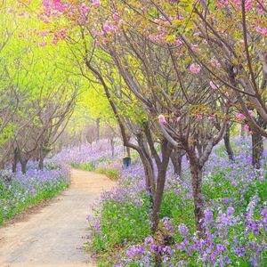 最美的家乡（纯音乐）