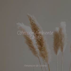 Tonos ámbar me hipnotizan