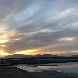 Just Blue（动物世界配乐）