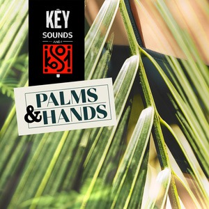 Palms and Hands