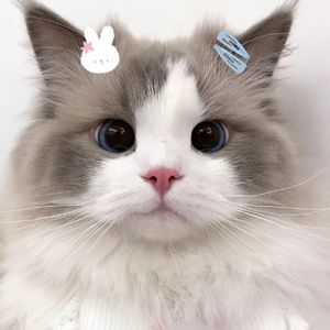 金玟岐-岁月神偷 （人可舌甘 remix）