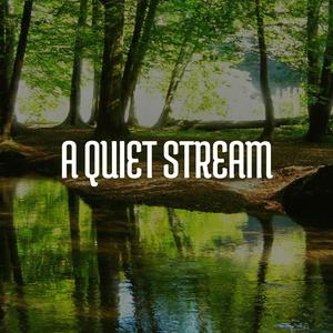 A quiet stream