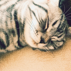 后知后觉（DEMO）