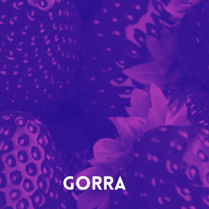 Gorra