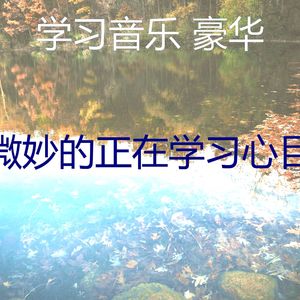 抚慰的浓度回忆