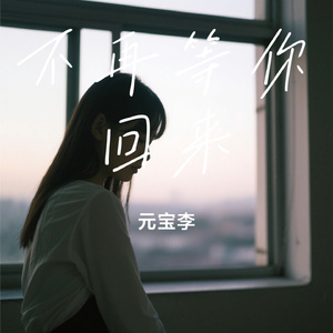 不再等你回来