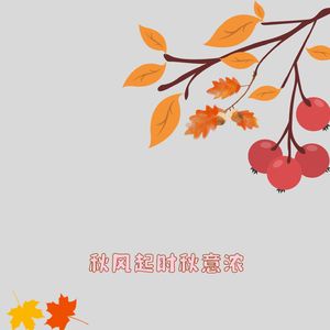 秋风起时秋意浓