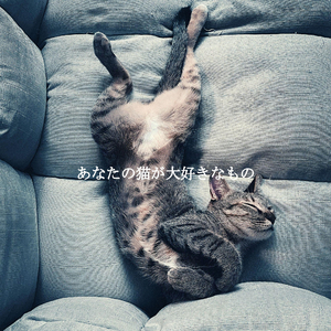 Dashing Ambience for Coffee in Tokyo