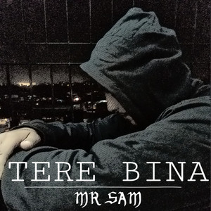 Tere Bina