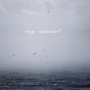 nege sezbedim?