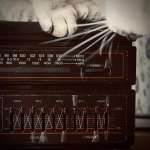 欠宋胖子的一首歌