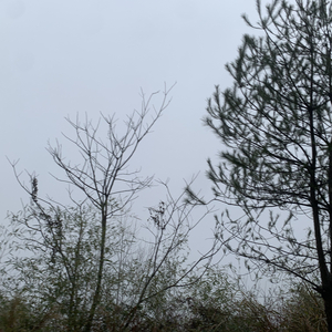 우리 사랑했잖아