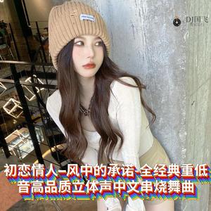 DJ国飞-初恋情人–风中的承诺-全经典重低音高品质立体声中文串烧舞曲（DJ国飞 remix）