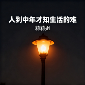 人到中年才知生活的难