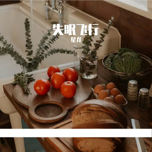 失眠飞行