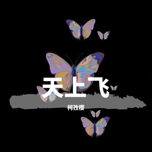 天上飞 cover二狗子（翻自 二狗子）