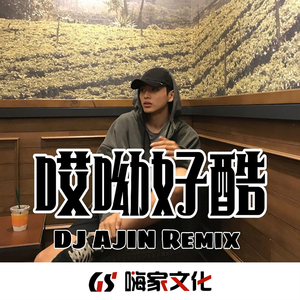 2020新版摩托车摇(DJ版)