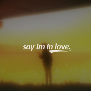 say im in love