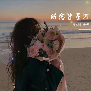 所念皆星河