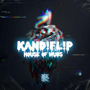 House of wubs (origninal mix)