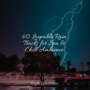 Forest, Day, Cicadas