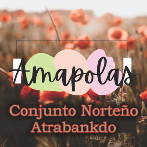 Amapolas