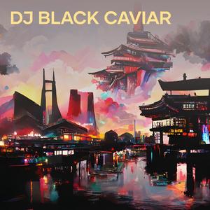 Dj Black Caviar (Remix)