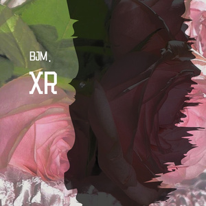 金蛇狂舞（小提琴版）