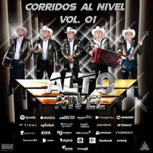 Los Kubos - Alto Nivel