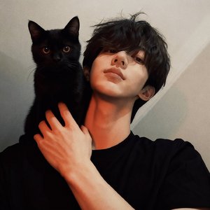 如今的晚安更像是告别