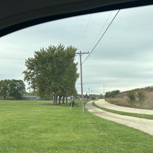 you wanna (feat. Roni)