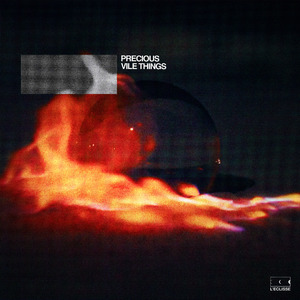 Precious Vile Things