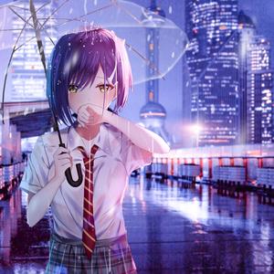 最后的日落狂飙