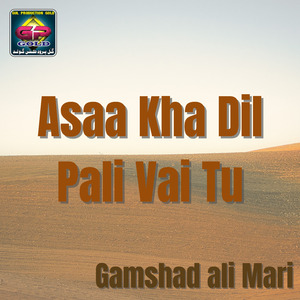 Dhanaran Sa Dilbar Kholi Rakh Tun Yaari