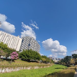 你是我荒芜里的春天_110897378444714007_1772886163135.wav