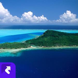 阳光微笑 (现场)