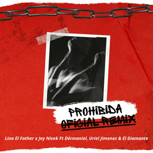 Prohibida (Remix)