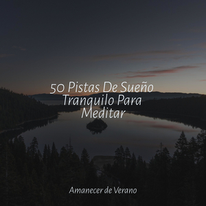 Ecos de la Melancolía de Gaia