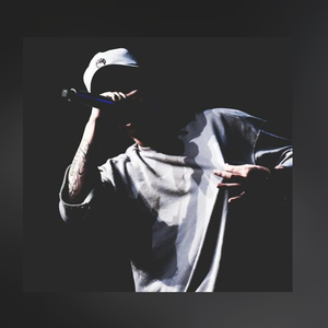 天地在兜里 我是叶一片（Huaer Cover）