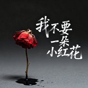 我不要一朵小红花