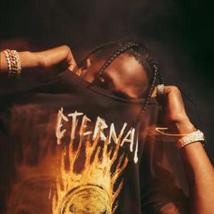 Travis Scott-goosebumps（TroubleBoi remix）