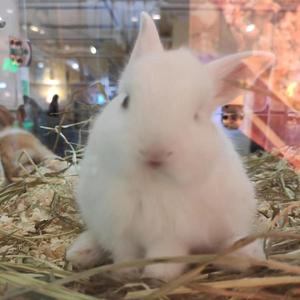 For You （Prod By 9Zi)