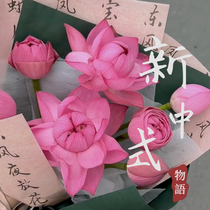 【古诗词古筝】晓出净慈寺送林子方 （宋词 杨万里）