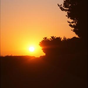 夕暮れのシルエット by jam