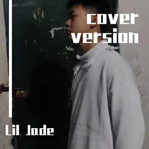 我心中有些事不能对你说（翻自 弹壳Danko）