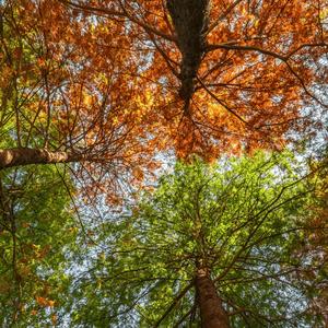 莫问天涯和我的归期