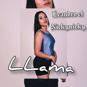 Llama