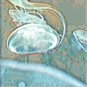 Holographic