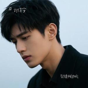 裂缝中的阳光 (Cover 林俊杰)